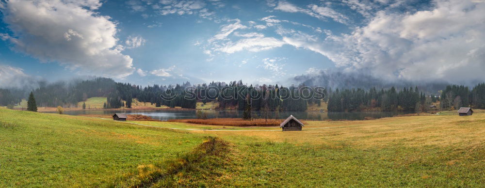 Similar – Image, Stock Photo Cow ensemble in late summer light