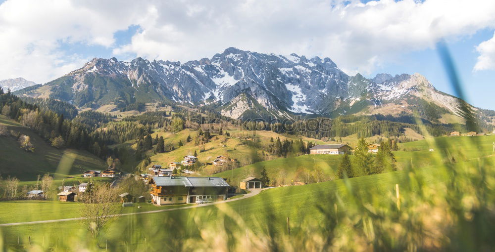 Similar – South Tyrol Nature