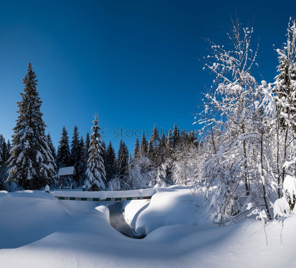 Similar – Image, Stock Photo hut Winter Massive Calm