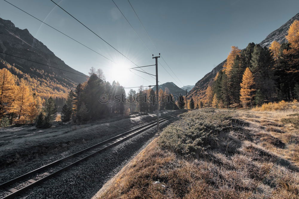 Similar – Image, Stock Photo Dresden elbhang Town