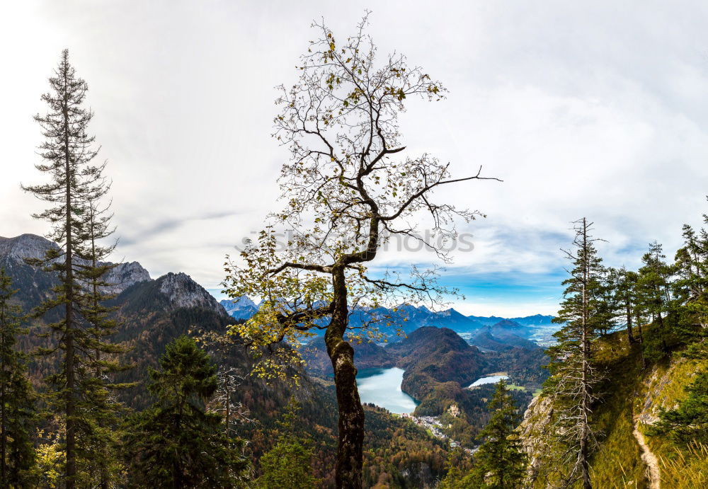 Similar – Image, Stock Photo hiking paradise