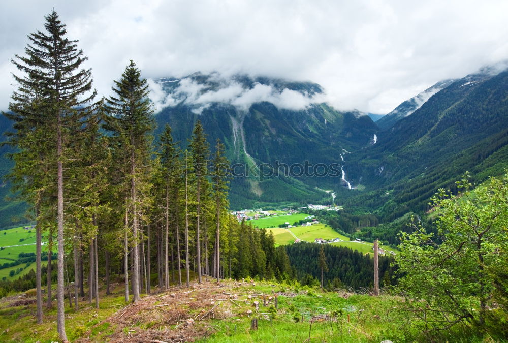 Image, Stock Photo Zwieselstein | E5