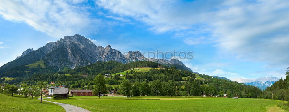 Similar – Image, Stock Photo At Heidi on the mountain pasture