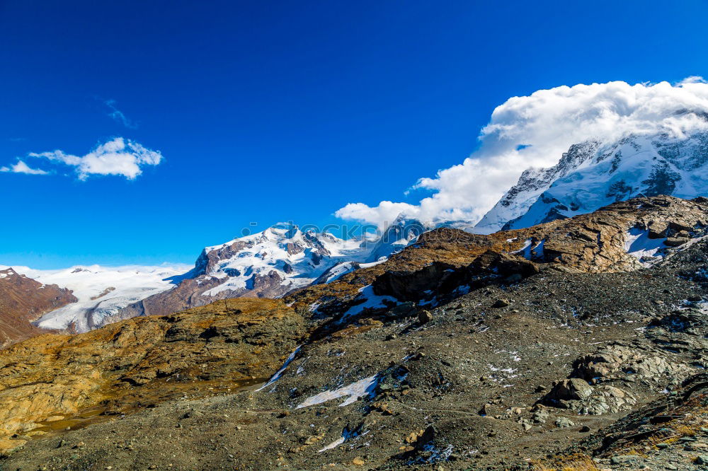 Andes, Alpaca, azure sky