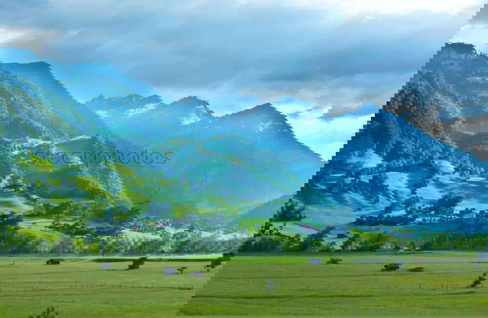 Similar – Image, Stock Photo It’s a wonderful world