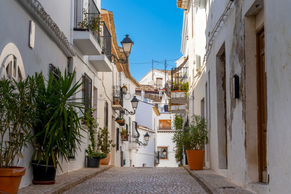 Similar – Image, Stock Photo Medieval village Marvao in Alentejo Portugal