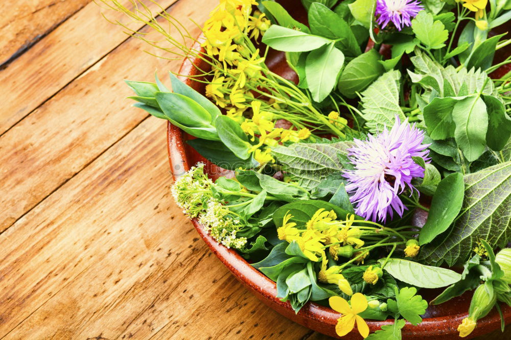 Similar – Allotment garden with primroses flowers, shovel and shield