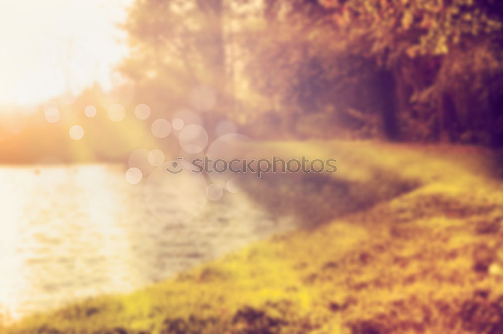 Similar – Image, Stock Photo Man with guitar in woods