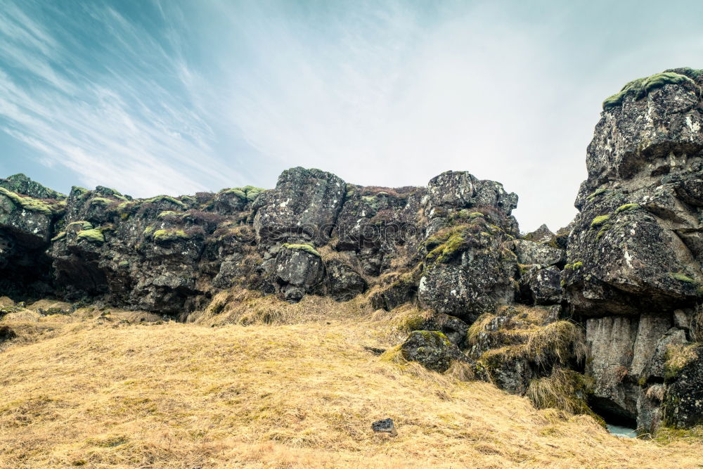 Similar – Image, Stock Photo Summer at the Barents Sea