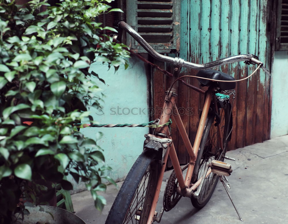 Similar – Image, Stock Photo parking bicycle taxi at night on the streets of Havana