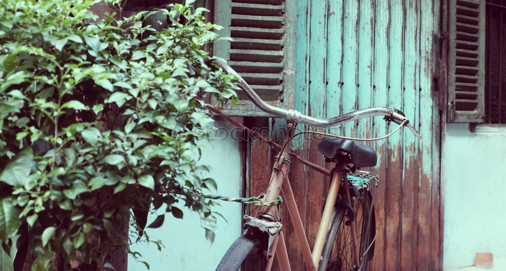 Similar – Image, Stock Photo Cuban tumble dryer