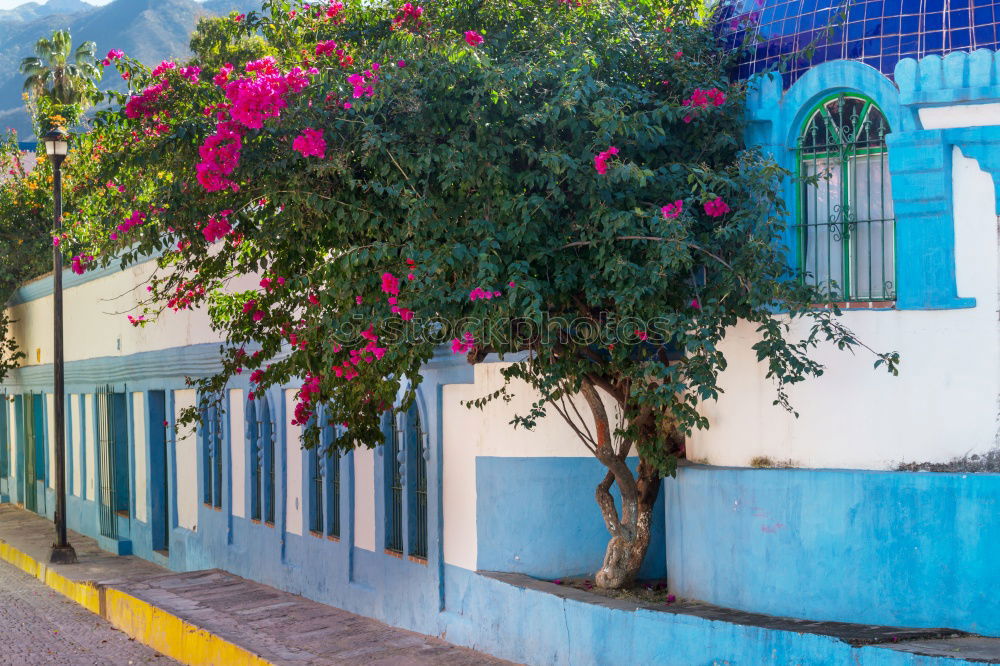 Similar – Image, Stock Photo Public transport on the roads of Cienfuegos