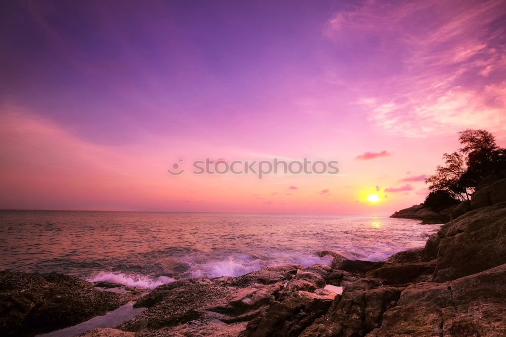 Similar – Image, Stock Photo Sunrise in Sydney