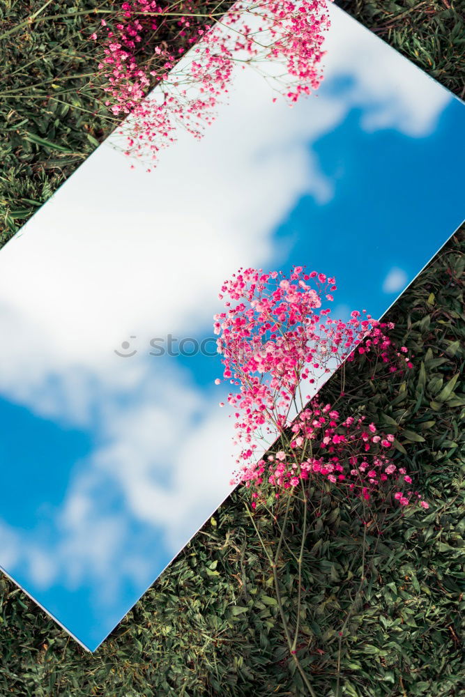 Similar – Image, Stock Photo Printed photos on table