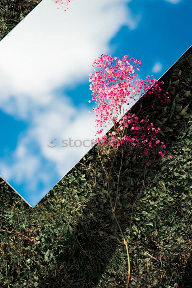 Similar – Image, Stock Photo Printed photos on table