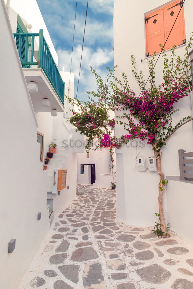 Similar – Image, Stock Photo pergola Terrace