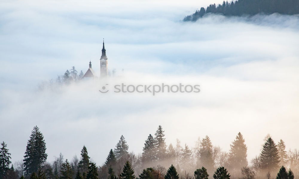 Similar – Neu Schwanstein im Nebel