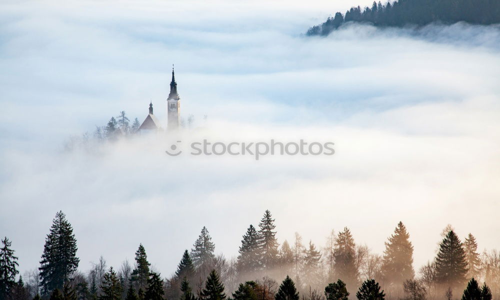 Similar – Neu Schwanstein im Nebel