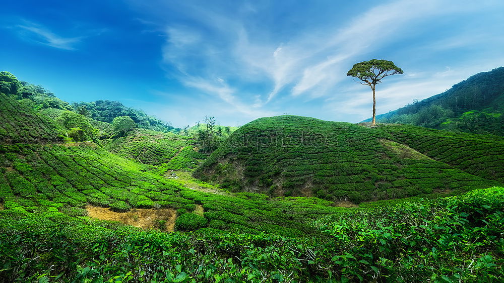 Similar – Image, Stock Photo behind the seven mountains