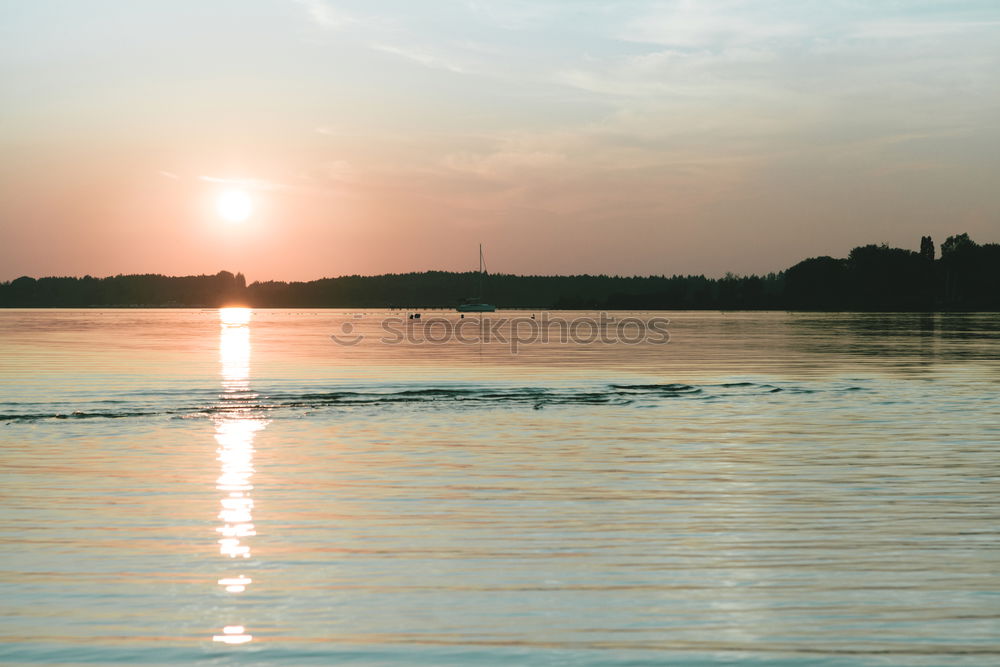 Sonnenaufgang an der Elbe mit Schwanen Paar und Brücke