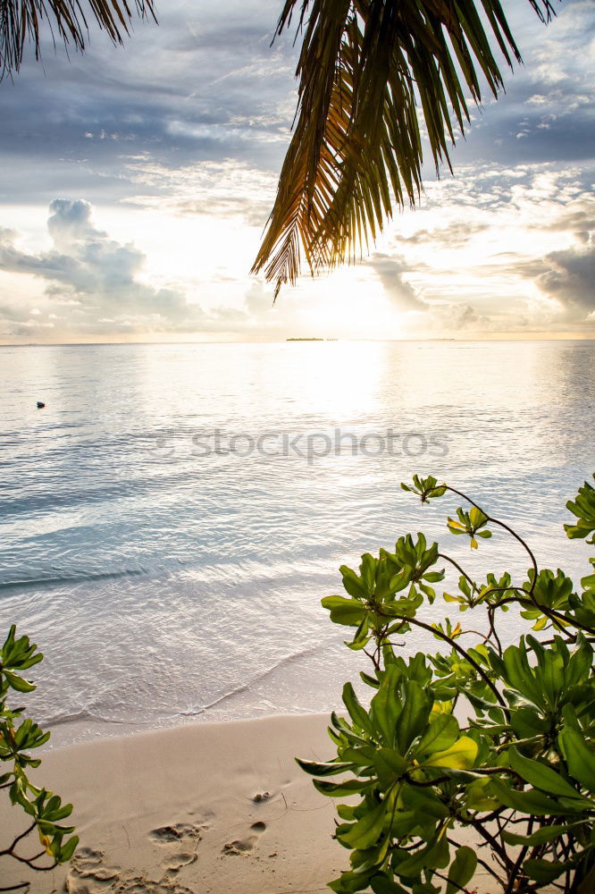 Similar – Image, Stock Photo The planet is on fire