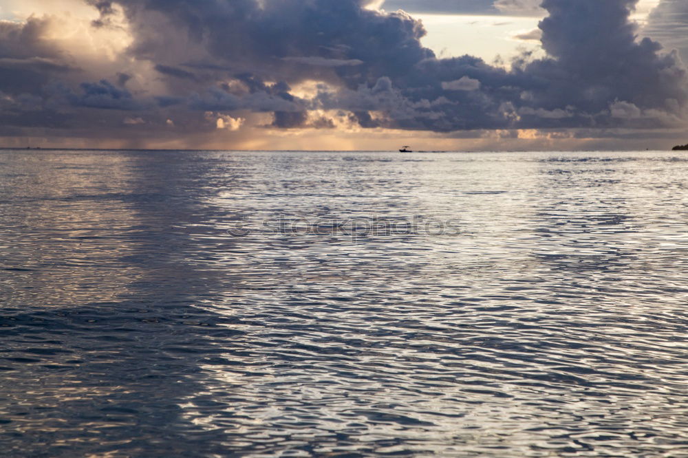 Similar – ausgebootet Wasserfahrzeug