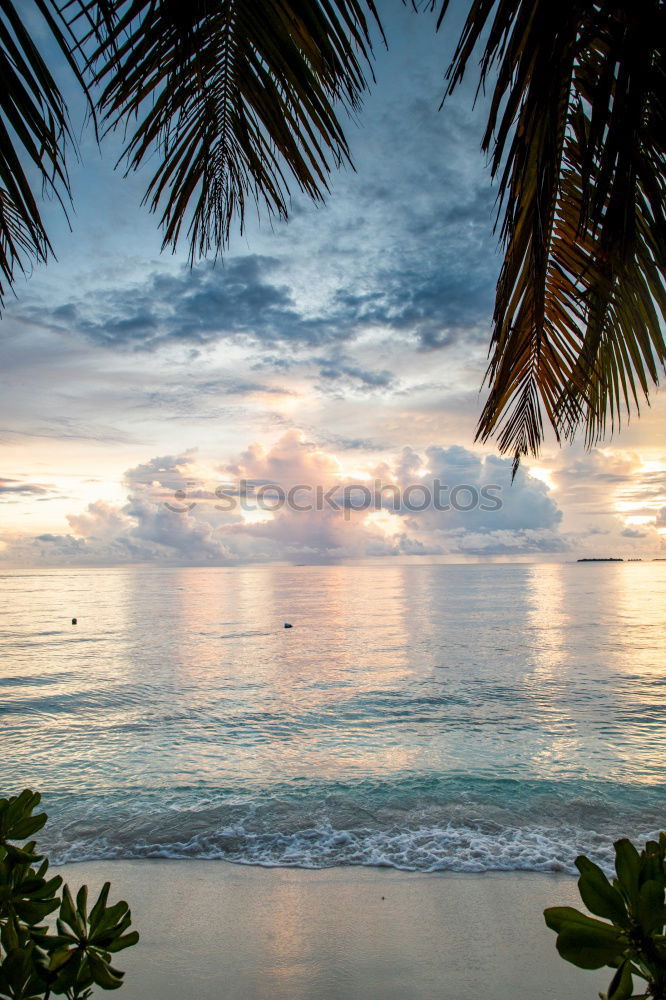 Similar – Image, Stock Photo paradise | perhentian besar