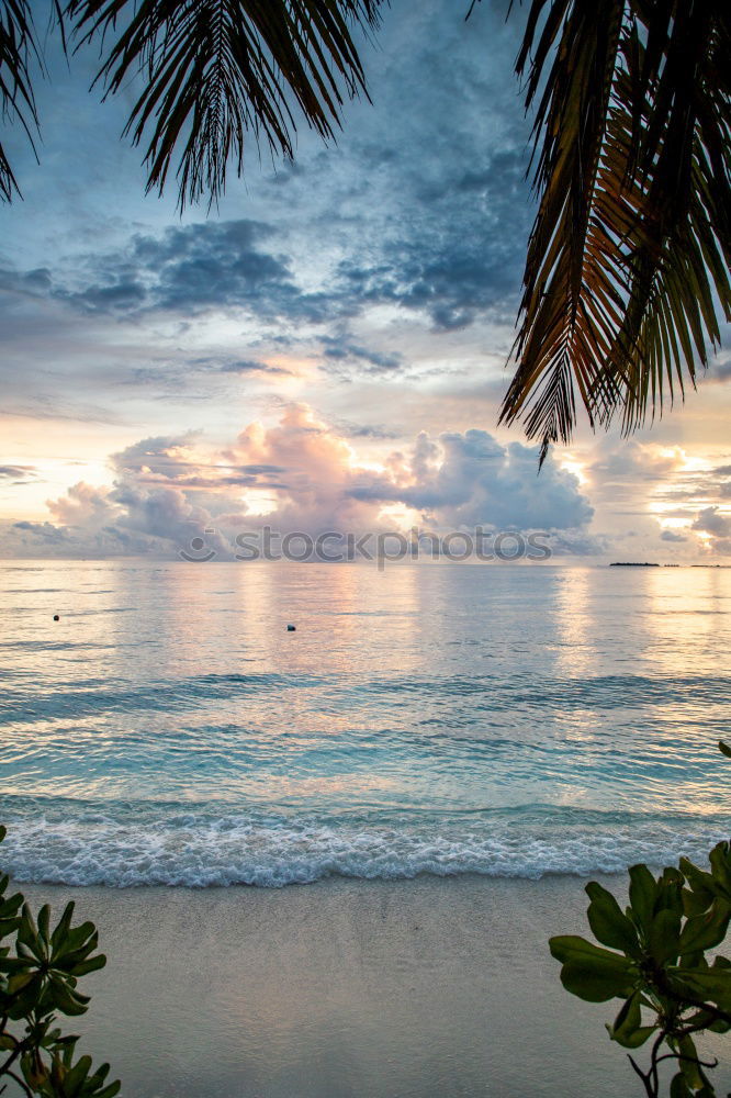 Similar – Image, Stock Photo paradise | perhentian besar
