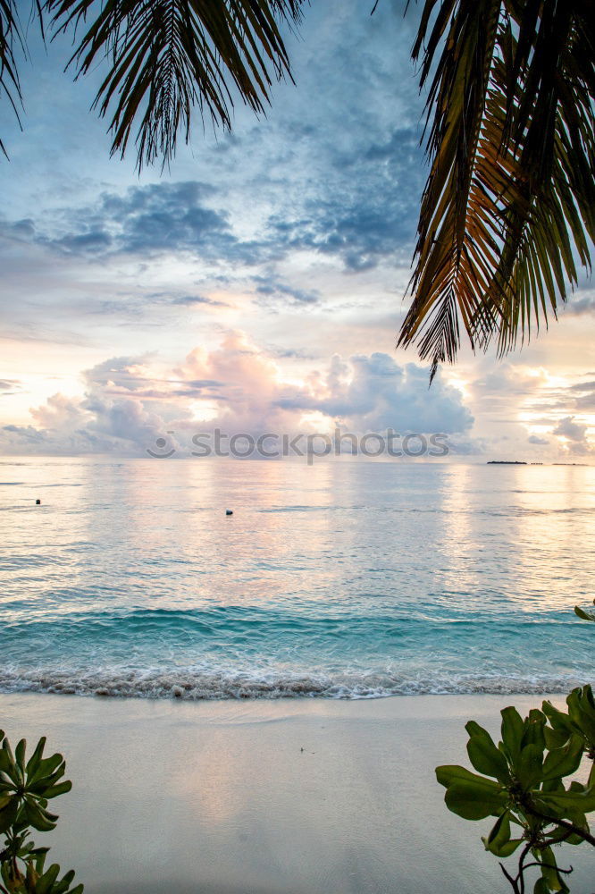 Similar – Image, Stock Photo paradise | perhentian besar