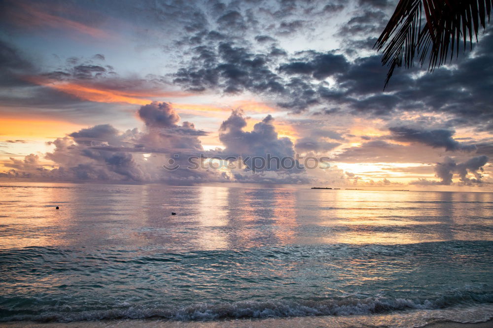 Similar – Image, Stock Photo Caribbean Beach Ocean