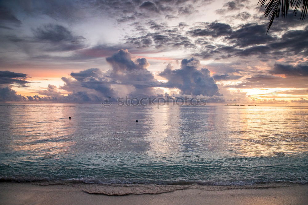 Similar – Image, Stock Photo Caribbean Beach Ocean