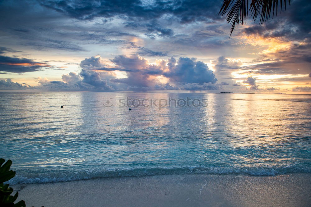 Similar – Image, Stock Photo Sunset Landscape Blue