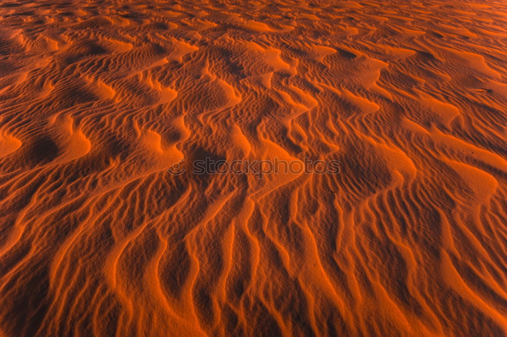 Similar – sand waves Desert Sand