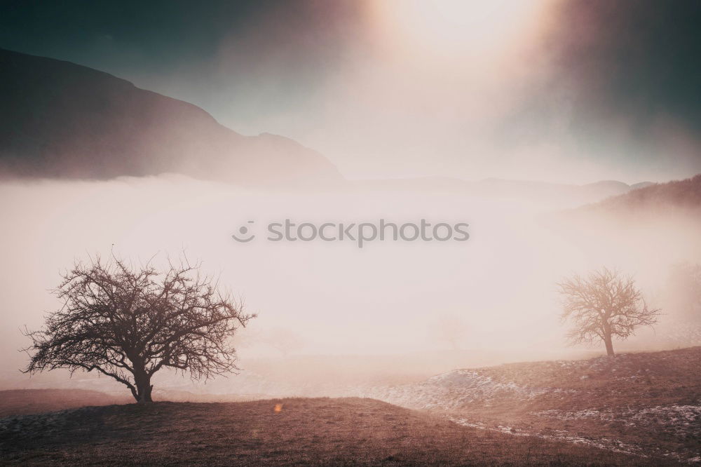 Image, Stock Photo Winter sun over the river Moldau/ Vitava