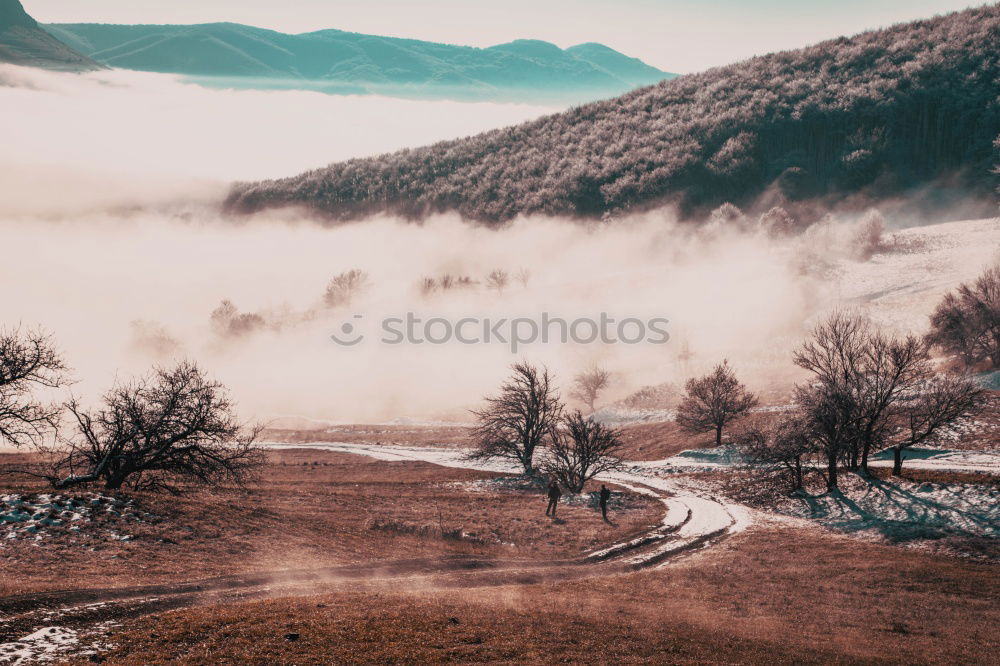 Similar – Image, Stock Photo Picturesque view of canyon with trees