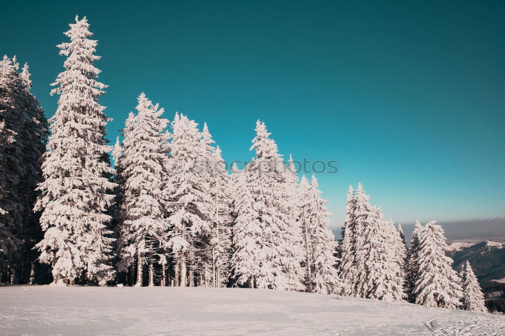 View from the Unterberg to the foothills of the Alps