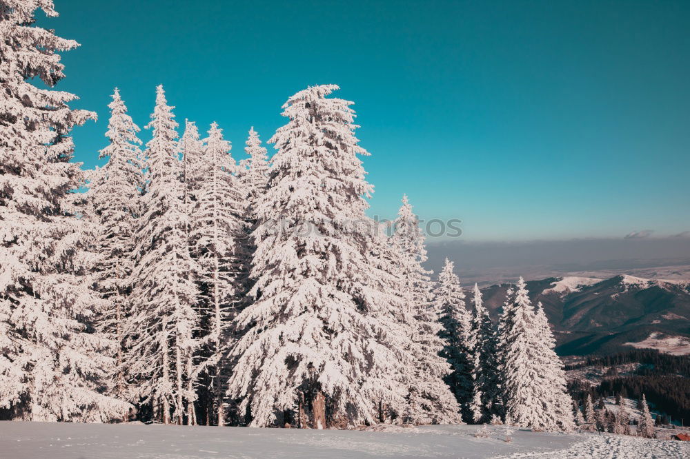 Similar – View from the Unterberg to the foothills of the Alps