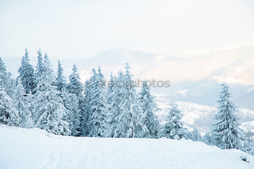 Similar – Image, Stock Photo Hasliberg and a lot of text space below