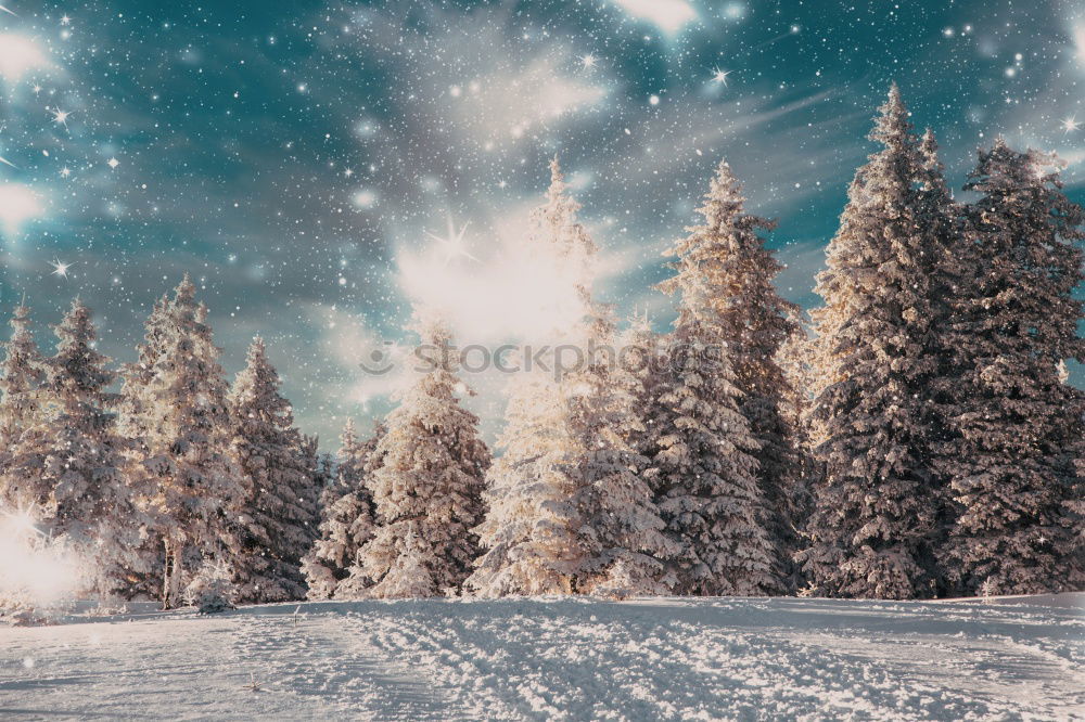 Similar – Image, Stock Photo Anonymous person looking at night sky