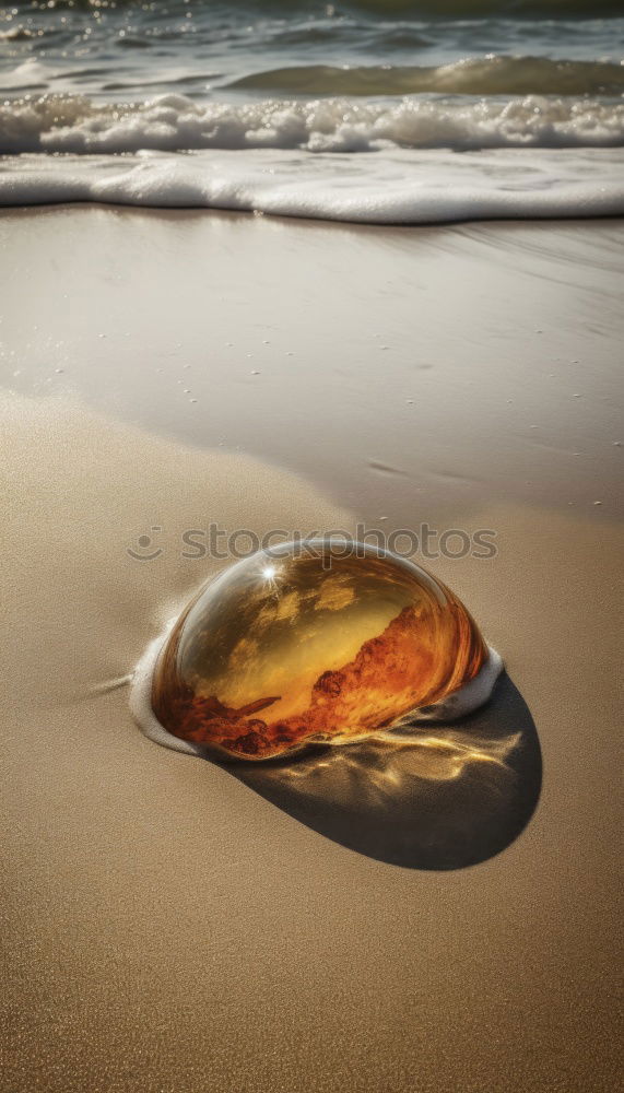 Similar – Amber at the Baltic Sea beach