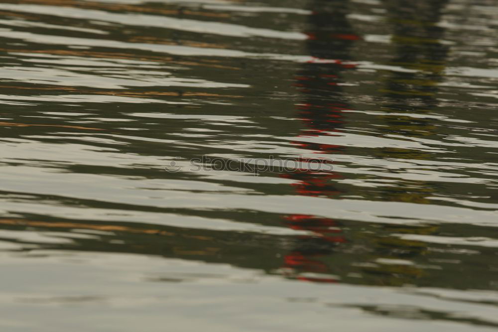 Foto Bild Einzelner Goldfisch unter Wasserstrahl im Gartenteich