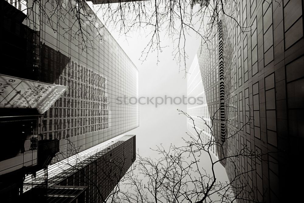 Similar – Image, Stock Photo Thanks to Photocase this: Finally out of the corner! Here is a narrow street in Toronto.