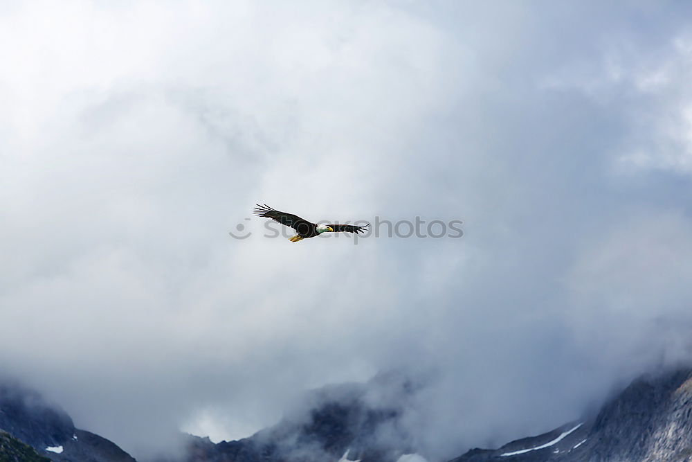 Image, Stock Photo Dolomites