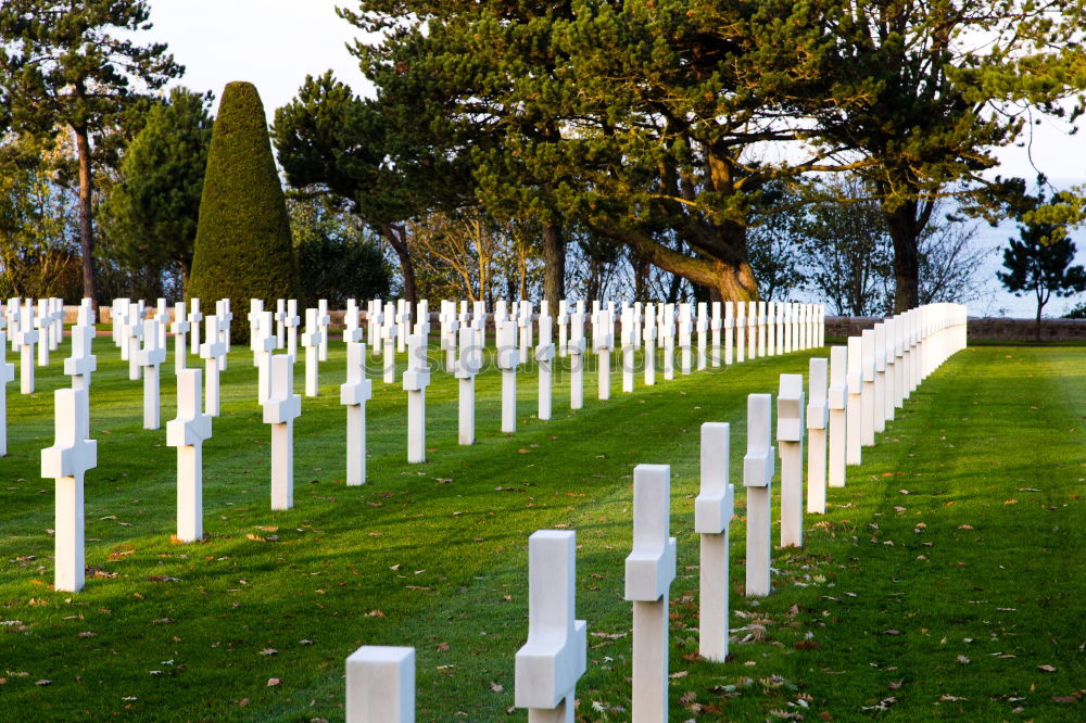 Similar – war graves France