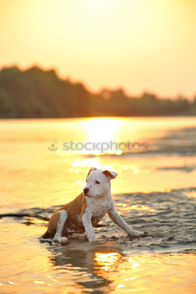 Similar – Image, Stock Photo Women entering water of ocean