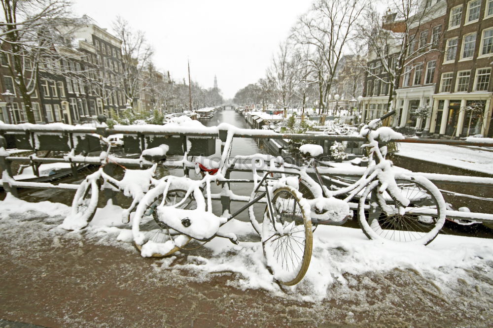 Similar – Image, Stock Photo Amsterdam