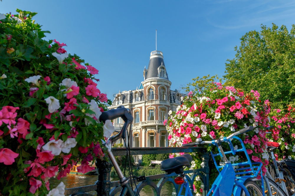 Similar – Frauenkirche Dresden in spring