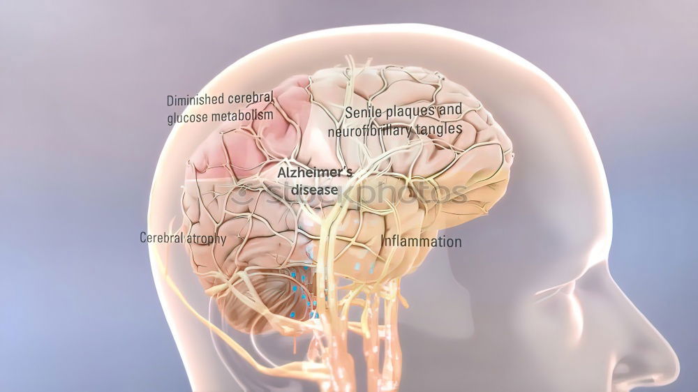 Similar – Image, Stock Photo brain