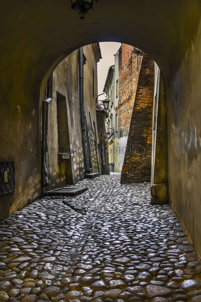 Similar – Image, Stock Photo Meeting of two gondolas that meet in the canals…of Venice. One sees only the front of the boats. In the background there is an old door with bars.