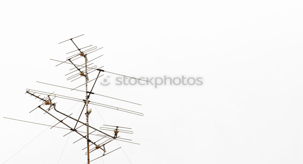 Similar – Image, Stock Photo seagull call Seagull Roof